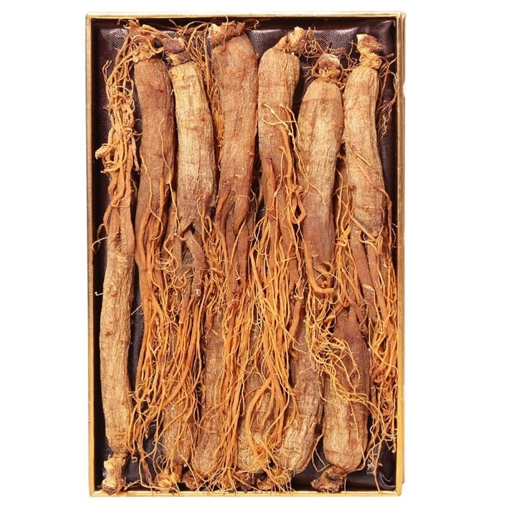 Panax Ginseng root
